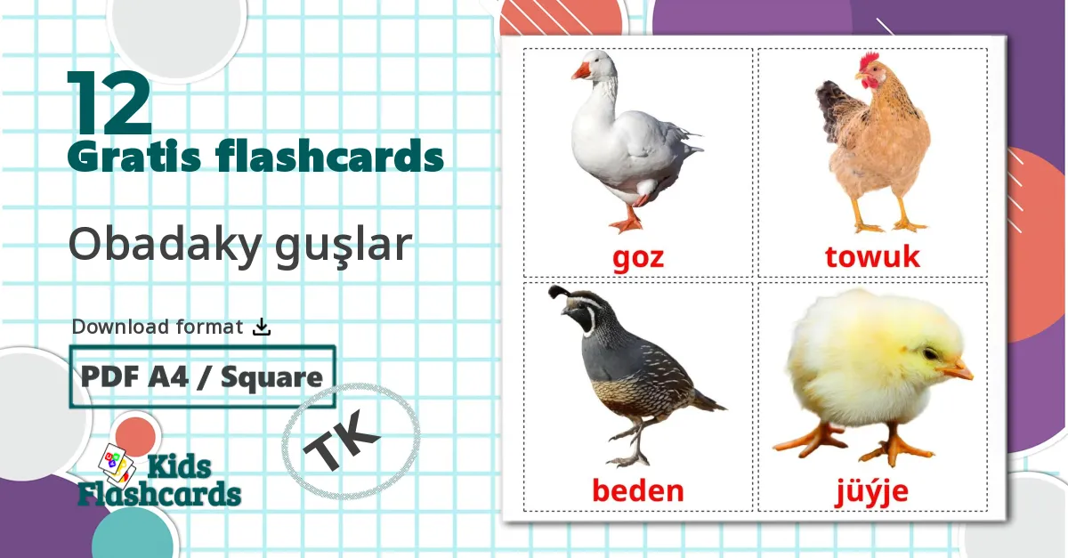 12 Bondegårdsfugle billedkort for børn