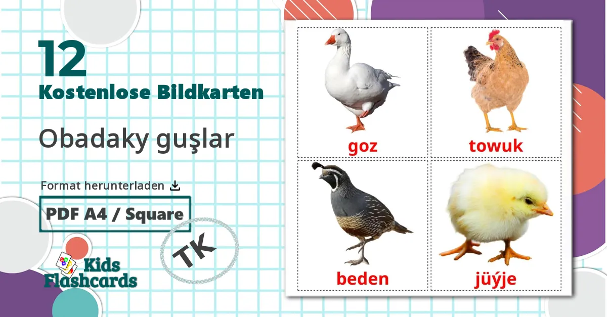 12 Bildkarten für Bauernhof Vögel
