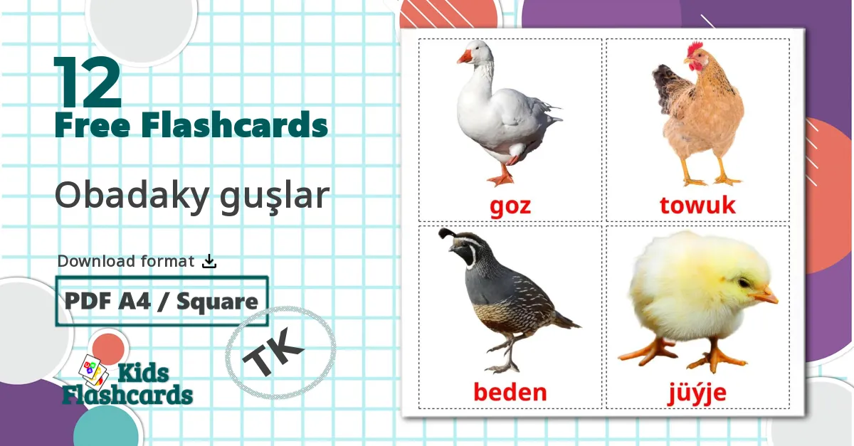 12 Farm birds flashcards