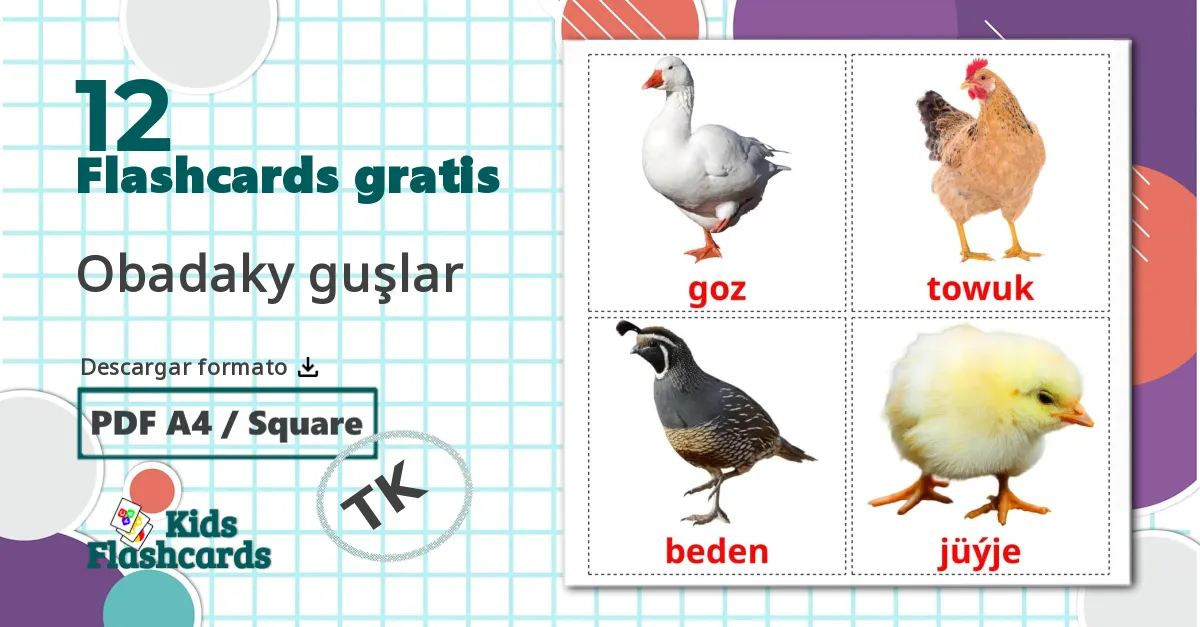 12 tarjetas didacticas de Aves de granja