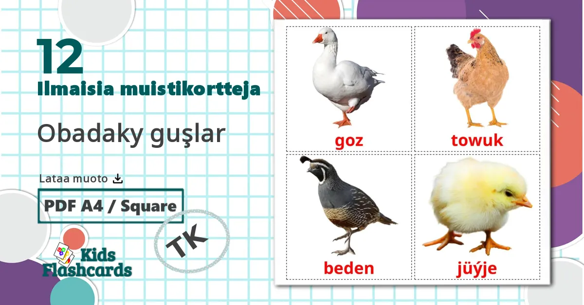 12 Maatila linnut lasten kuvakortit