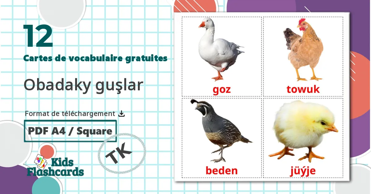 12 Imagiers Les Oiseaux de Ferme