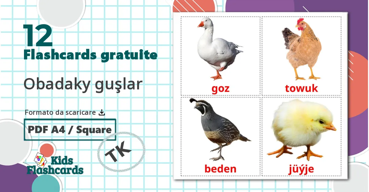 12 flashcards di Boerderijvogels