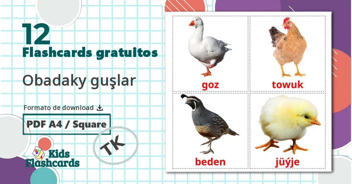 12 Flashcards de Aves da Quinta