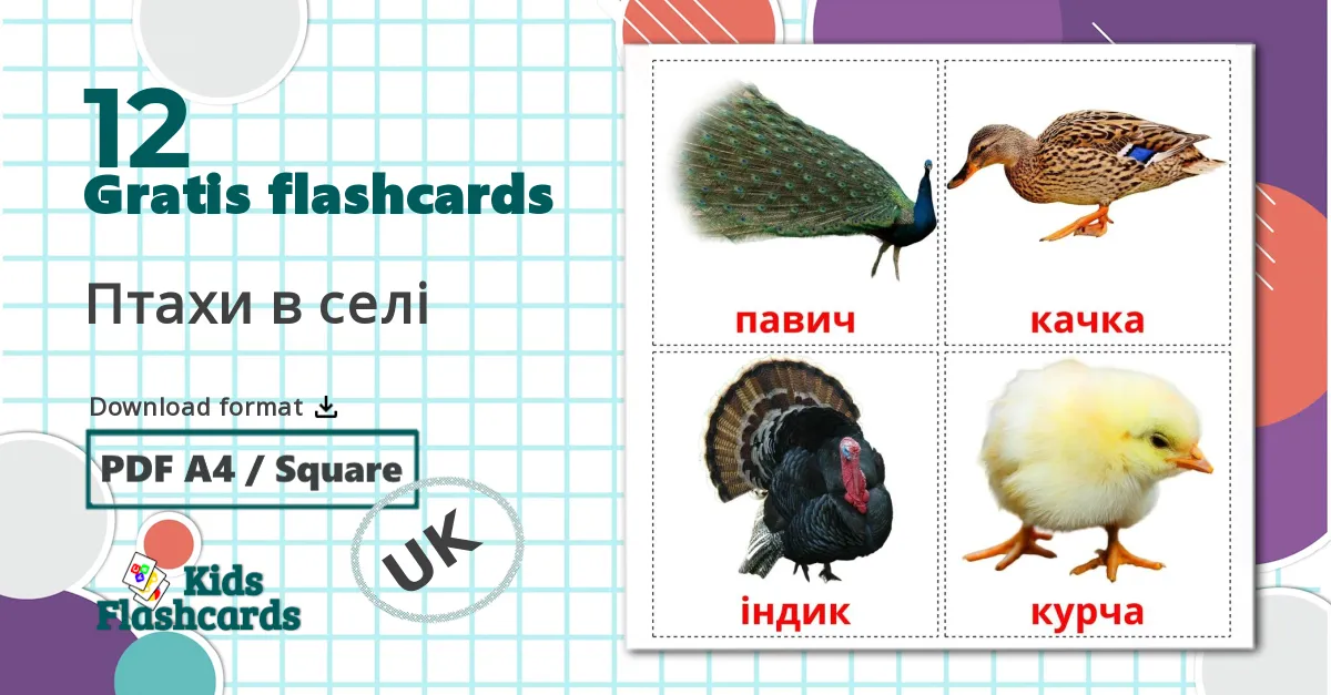 12 Птахи в селі  billedkort for børn