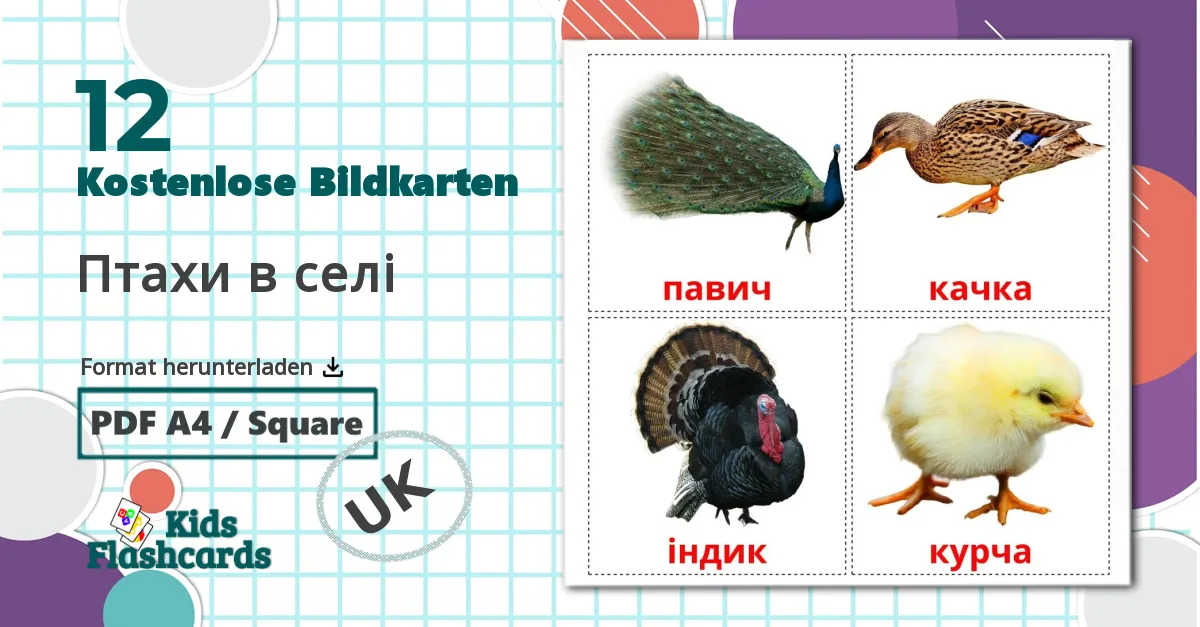 12 Bildkarten für Птахи в селі