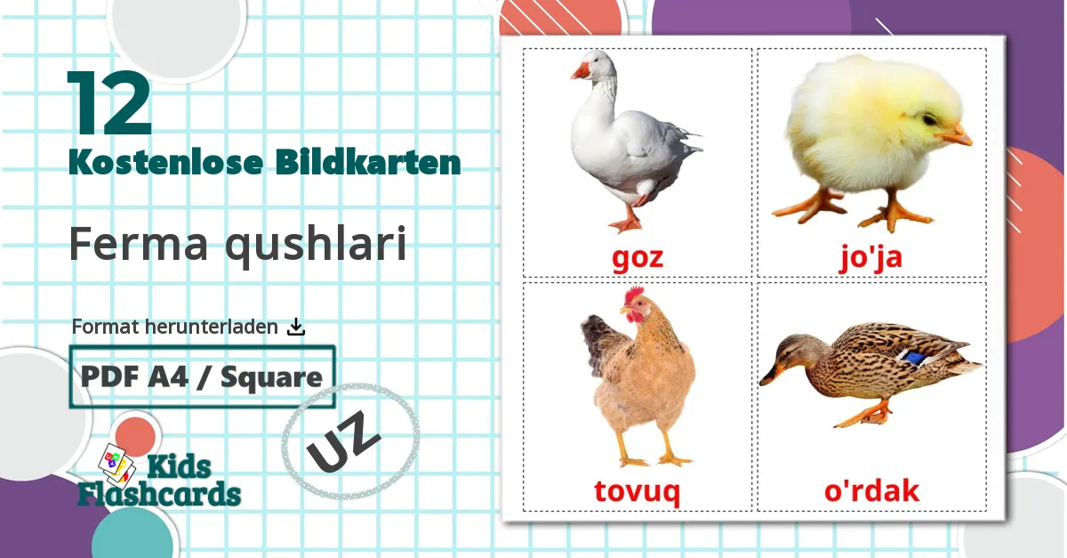 12 Bildkarten für Ferma qushlari