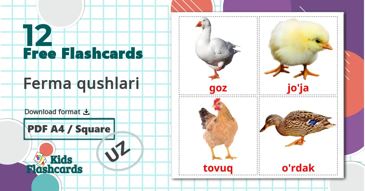 12 Farm birds flashcards