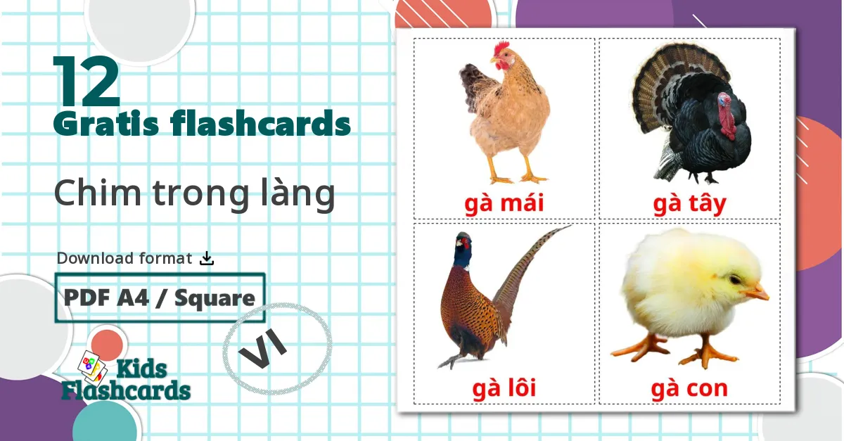 12 Chim trong làng billedkort for børn
