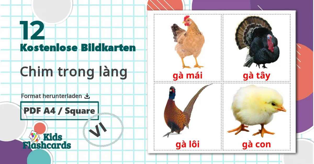 12 Bildkarten für Chim trong làng