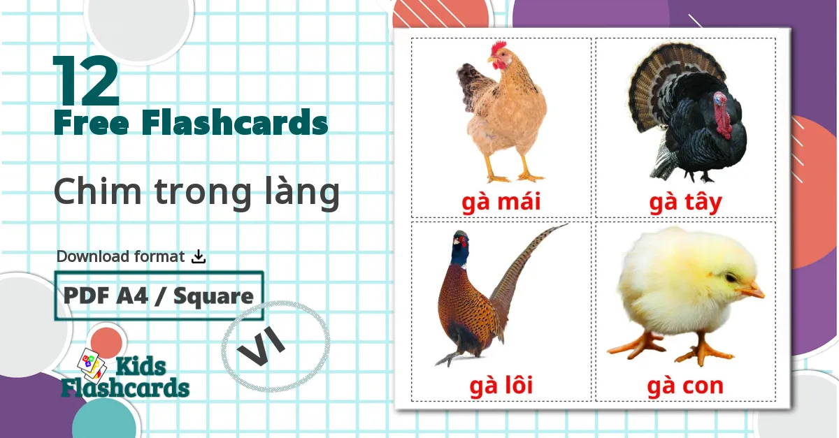 12 Farm birds flashcards