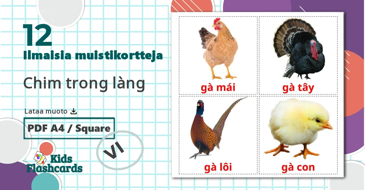 12 Chim trong làng lasten kuvakortit