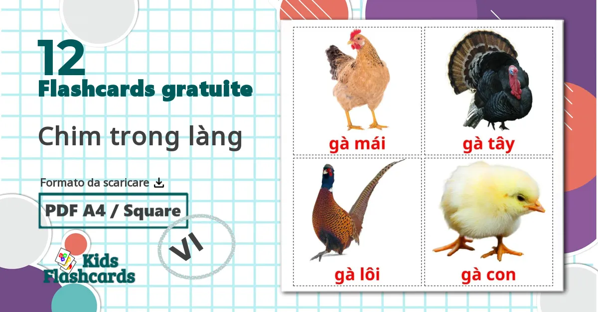 12 flashcards di Chim trong làng