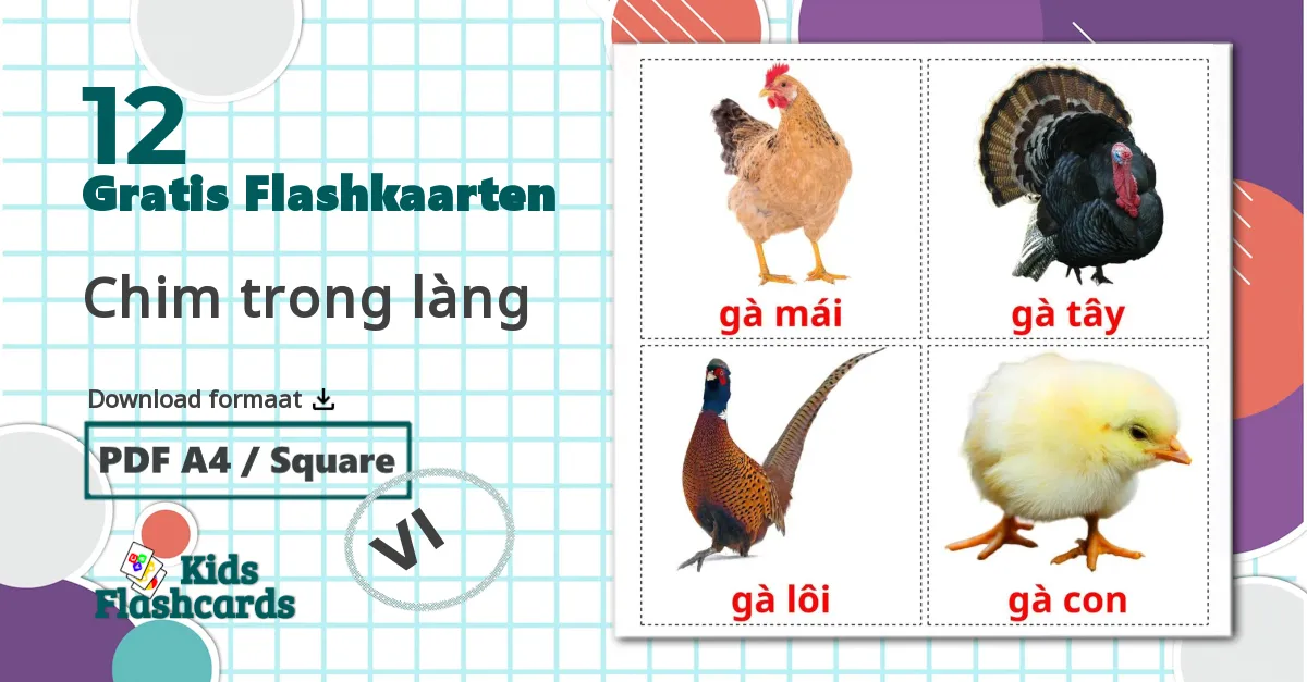 12 Chim trong làng flashcards