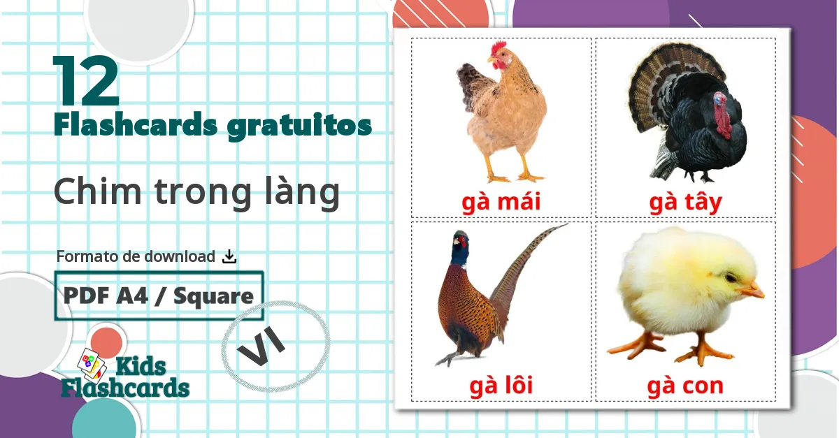 12 Flashcards de Chim trong làng