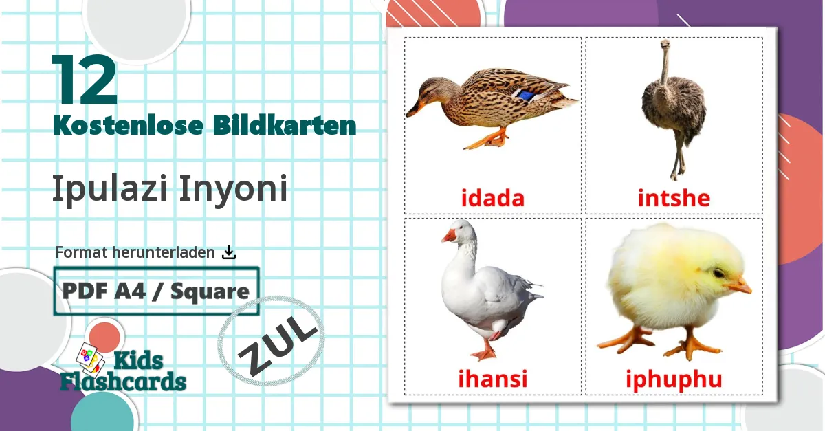 12 Bildkarten für Bauernhof Vögel