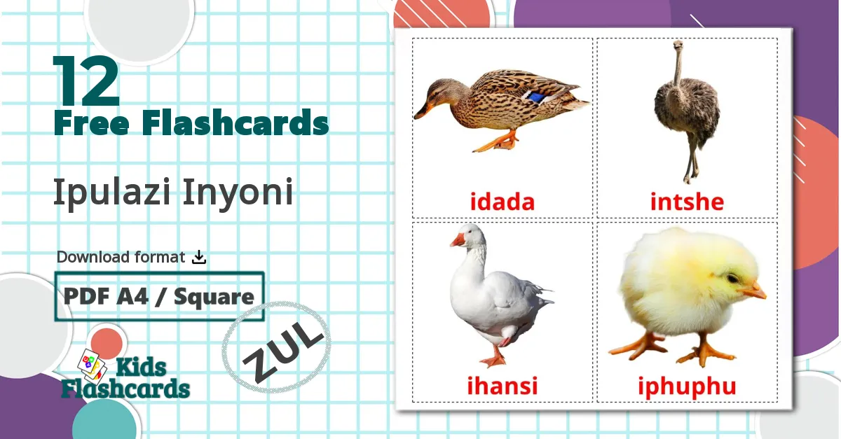 12 Farm birds flashcards