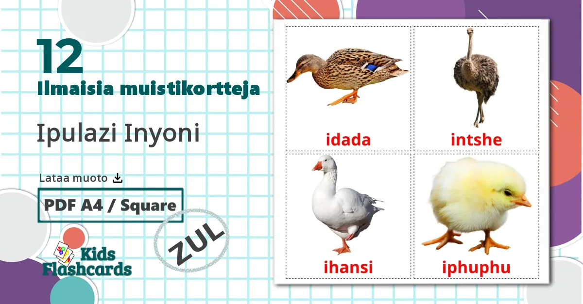 12 Ipulazi Inyoni  lasten kuvakortit