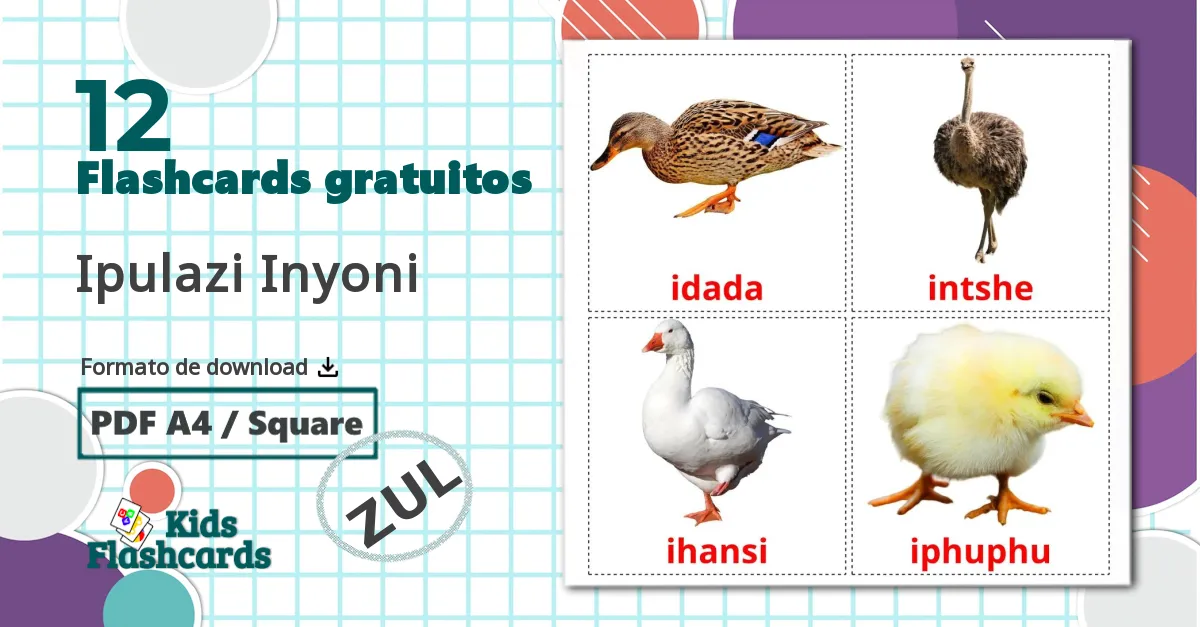 12 Flashcards de Aves da Quinta