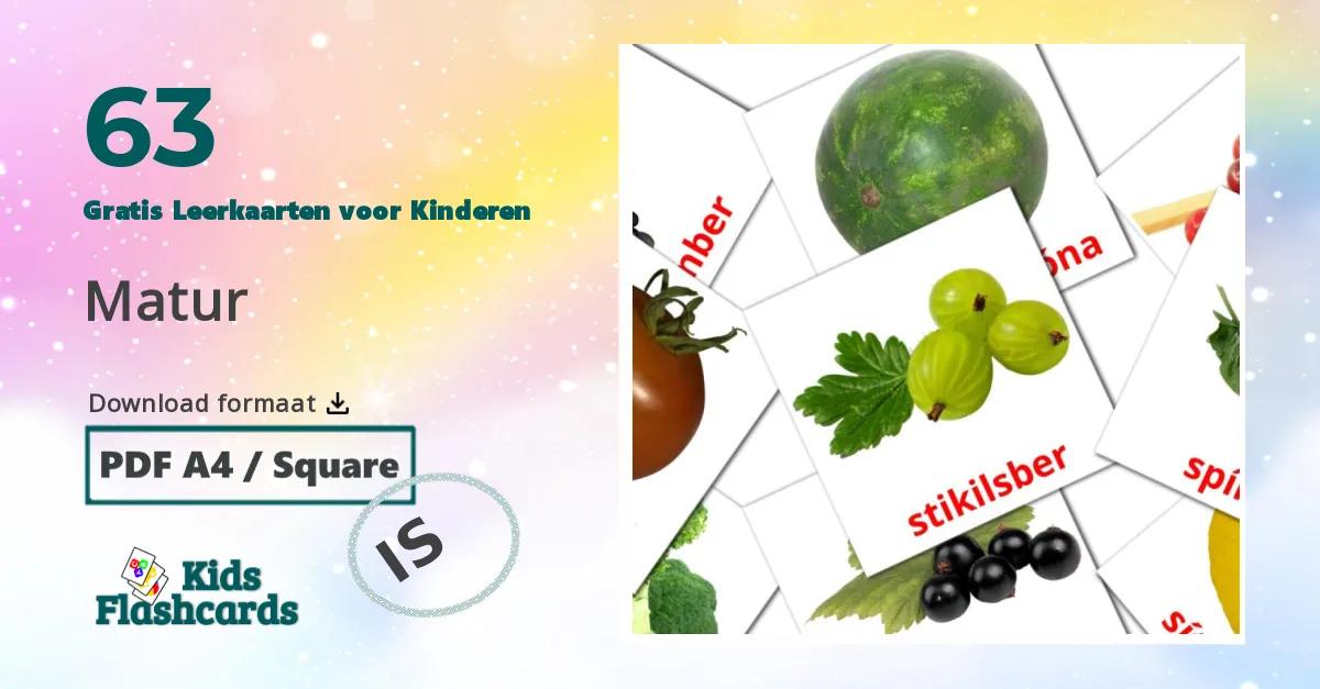 Matur ijslands woordenschat leerkaarten voor kinderen