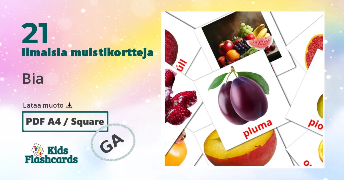 Bia – lasten kuvakortit irlantilaiseksi sanastoon
