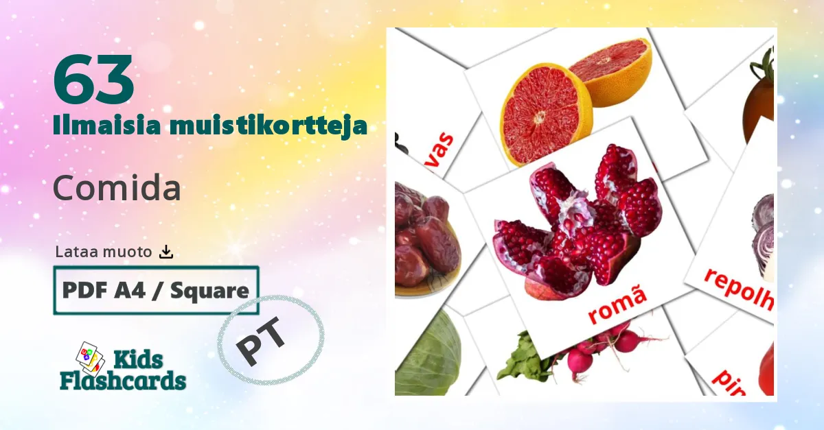 63 Comida lasten kuvakortit