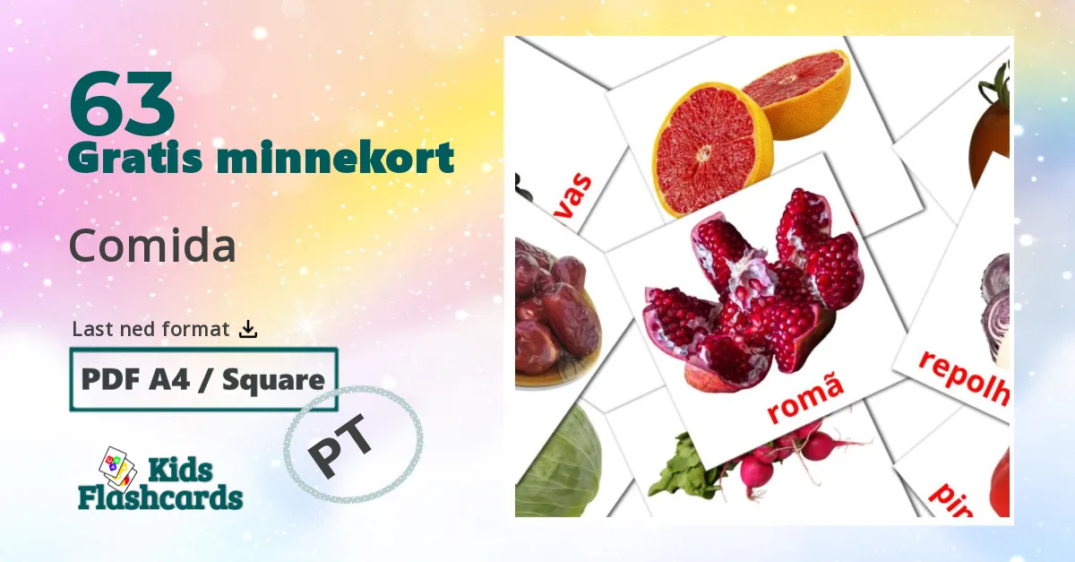 63 Comida bildekort