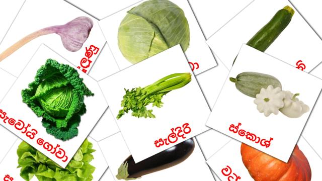 1300+ FREE Sinhala Flashcards | PDF | Picture Vocabulary