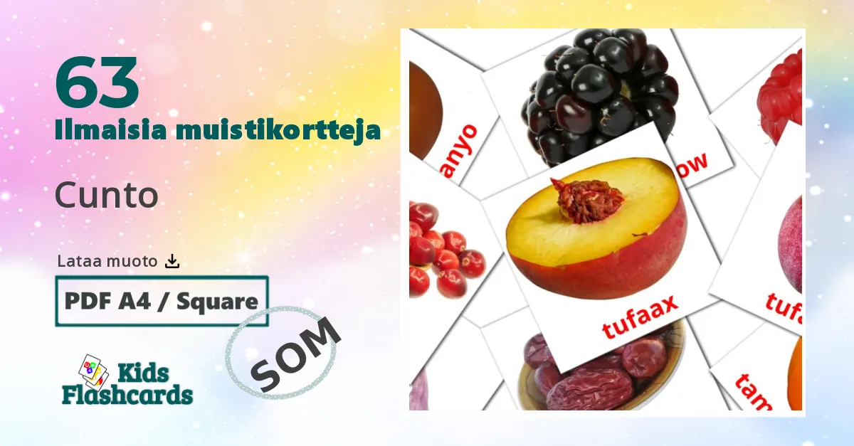 Ruoka  lasten kuvakortit