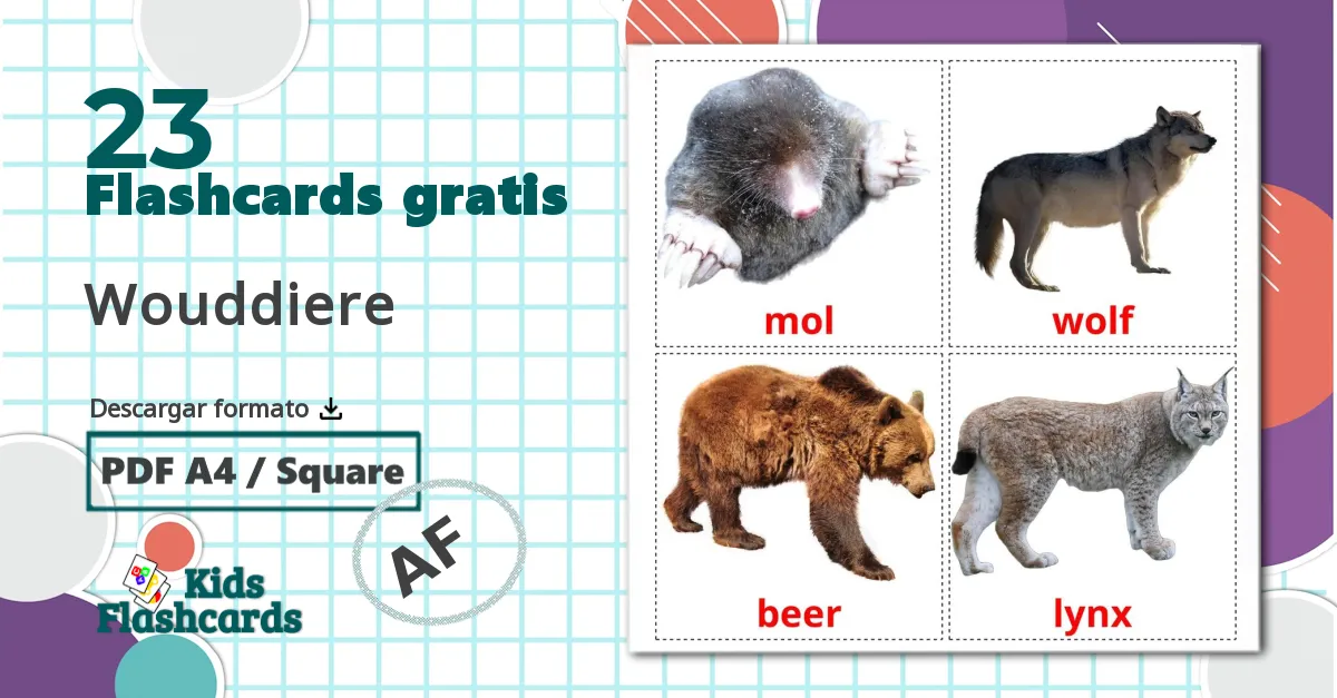 Animales del Bosque - tarjetas de vocabulario en afrikáans