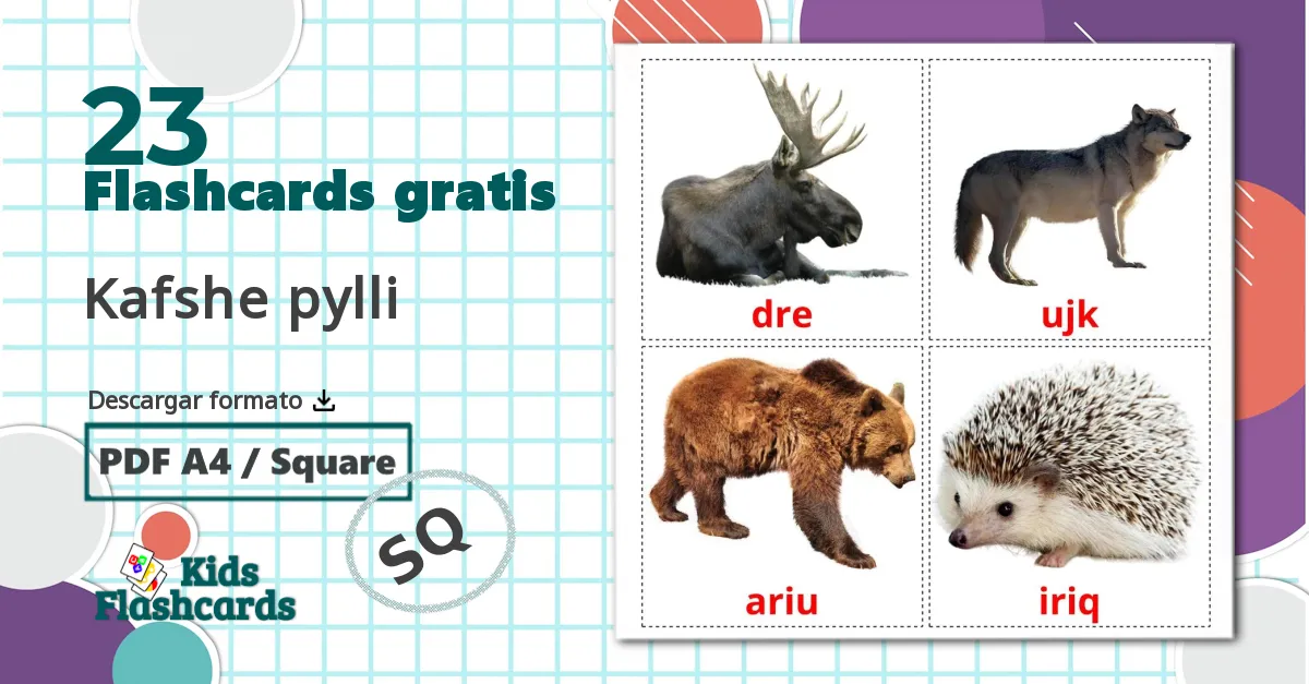 Animales del Bosque - tarjetas de vocabulario en albanés