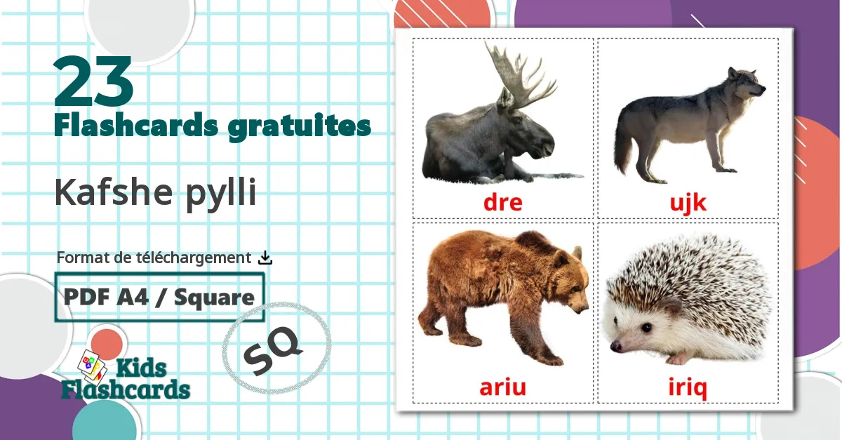 Les Animaux de la Forêt - cartes de vocabulaire albanais