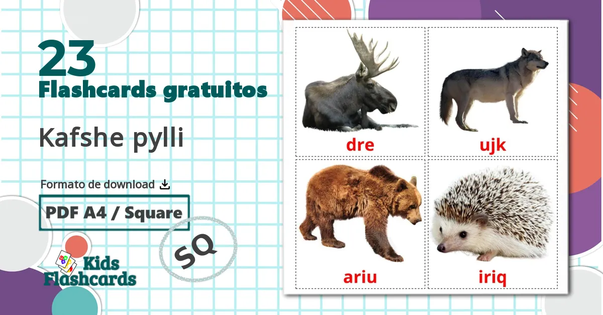 Animais da Floresta - Cartões de vocabulário albanês