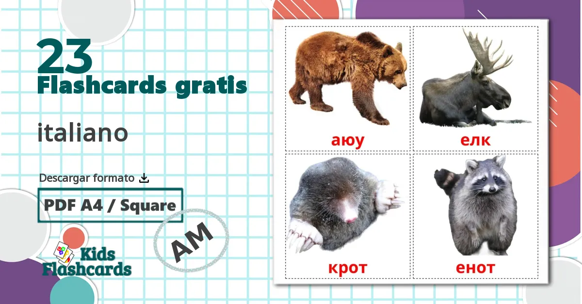 23 tarjetas didacticas de Animales del Bosque