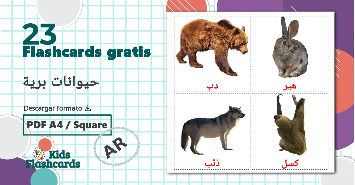 Animales del Bosque - tarjetas de vocabulario en árabe