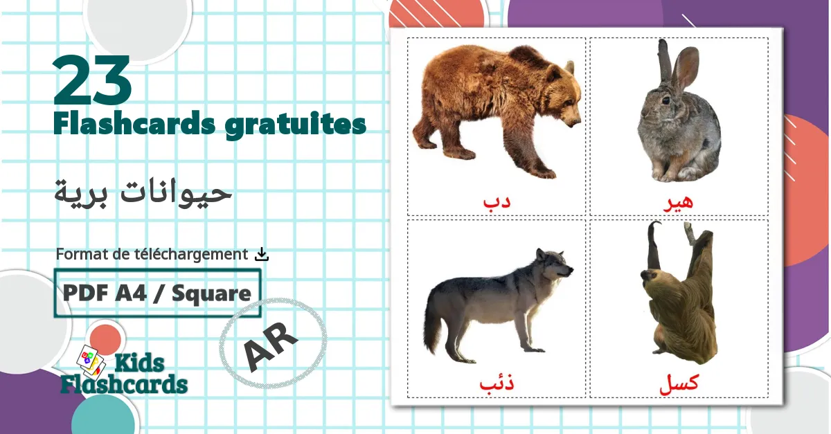 Les Animaux de la Forêt - cartes de vocabulaire arabe