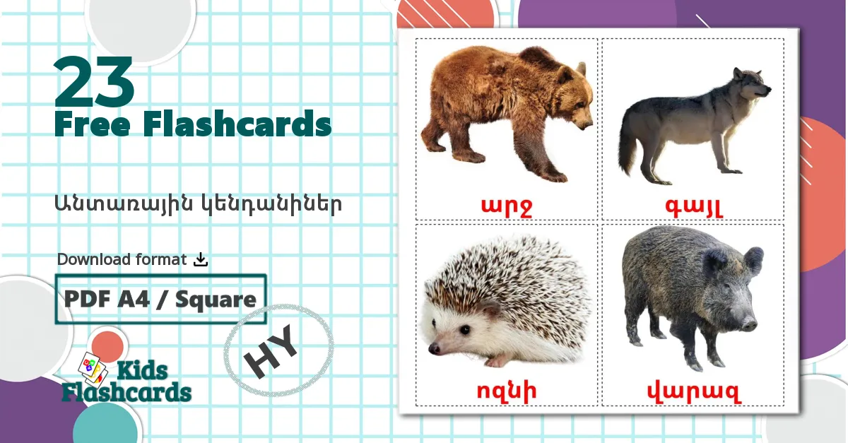 Forest animals - armenian vocabulary cards