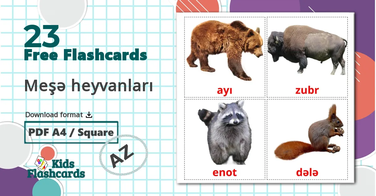 Forest animals - azerbaijani vocabulary cards