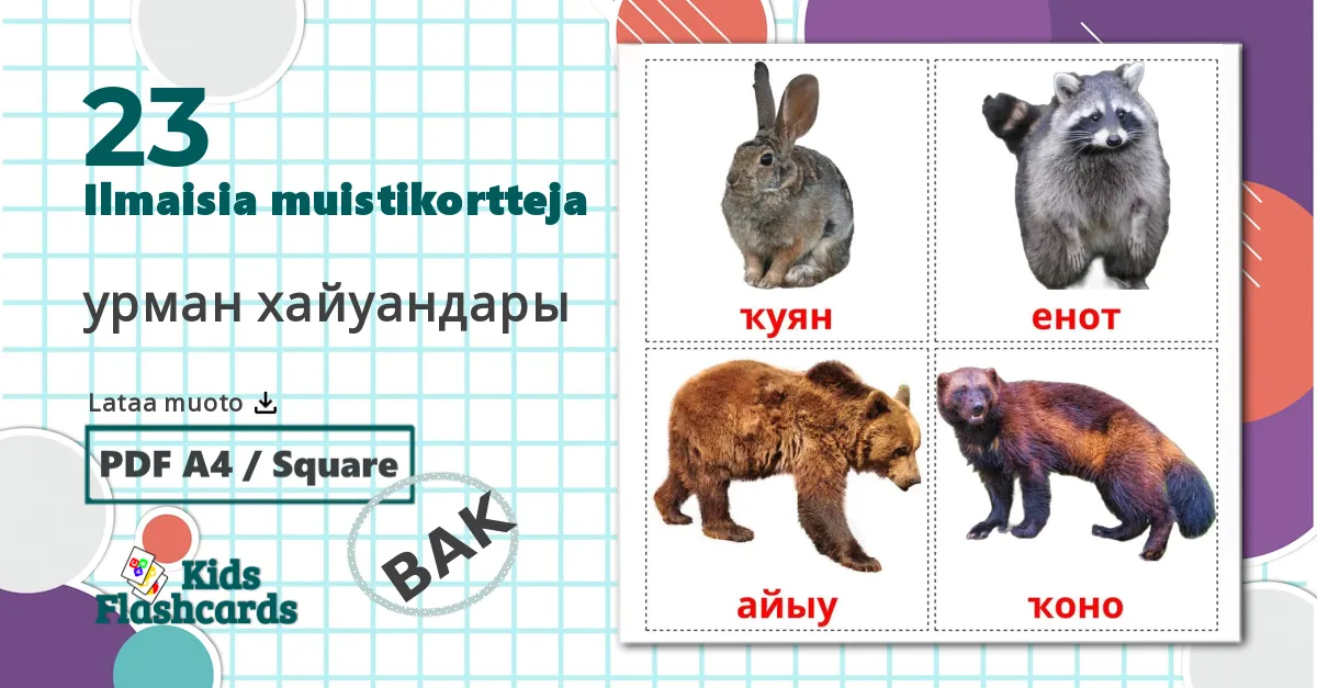 23 урман хайуандары lasten kuvakortit