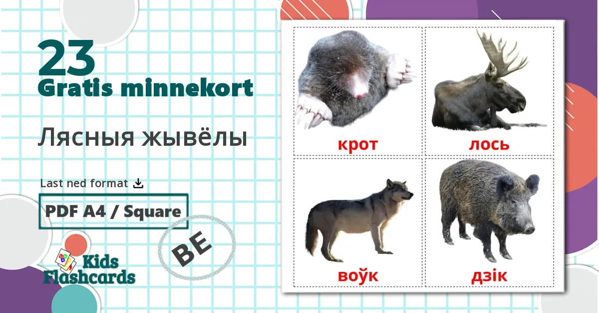 23 Лясныя жывёлы bildekort