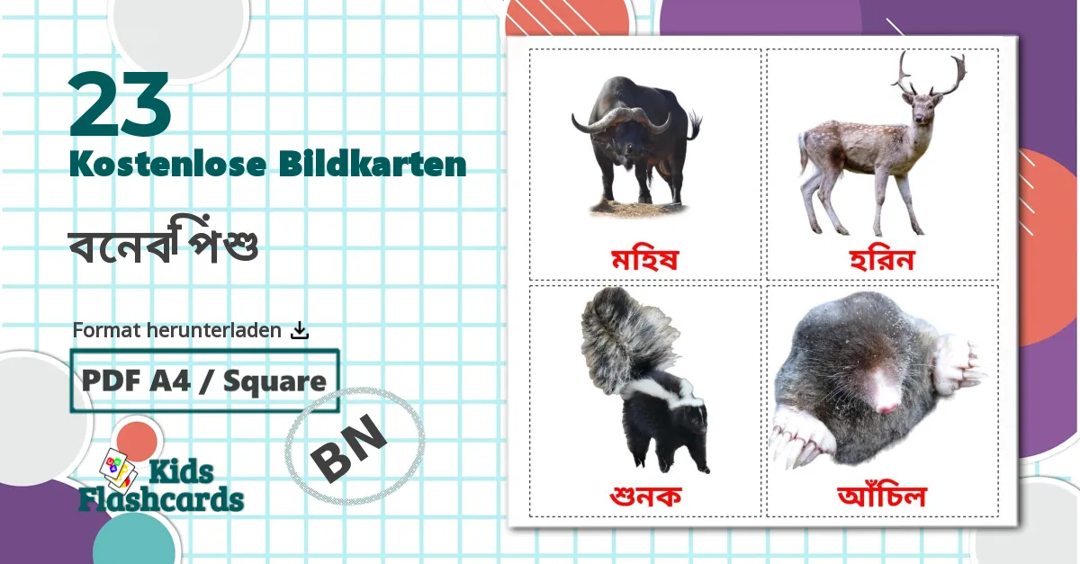 23 Bildkarten für বনের পশু