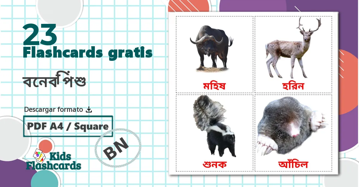 23 tarjetas didacticas de বনের পশু