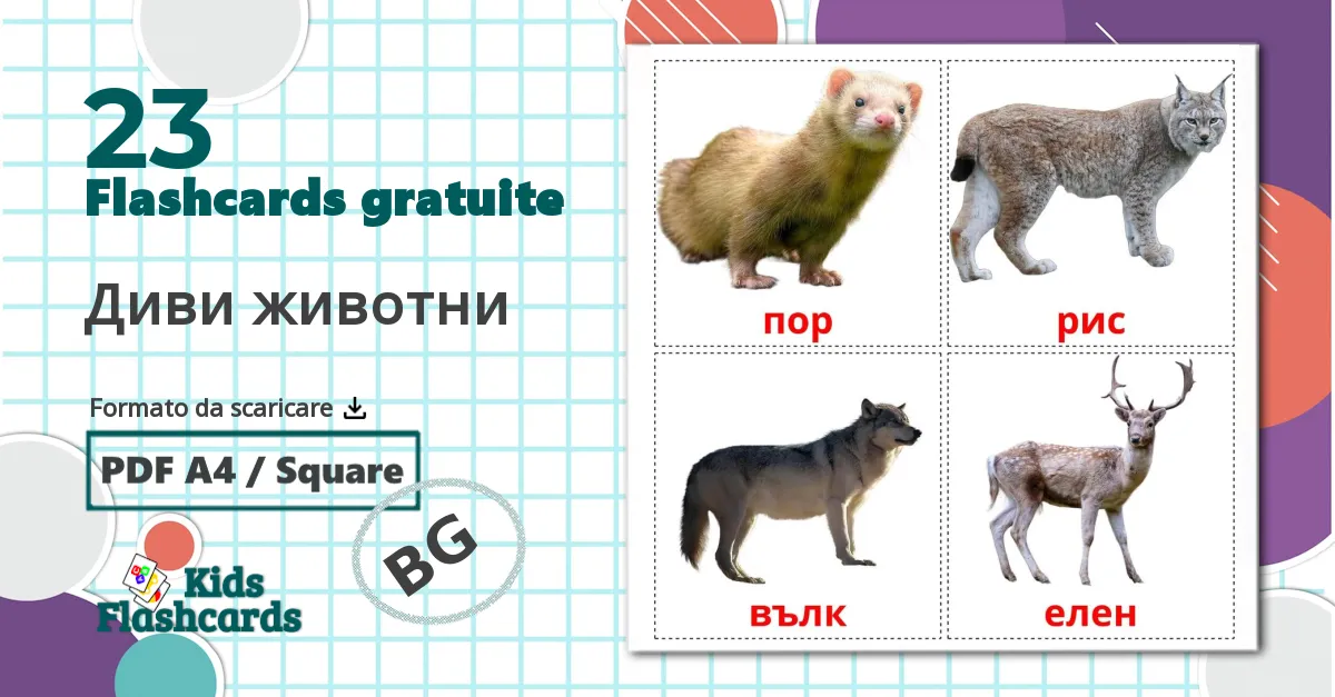 23 flashcards di Диви животни