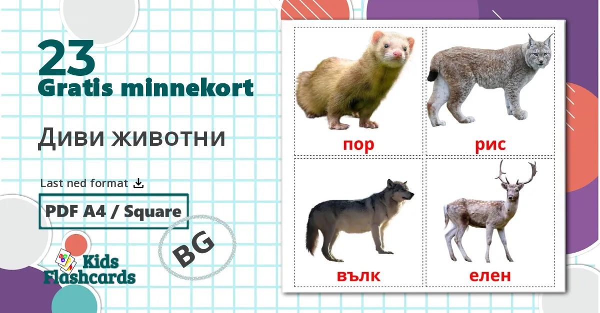 23 Диви животни bildekort