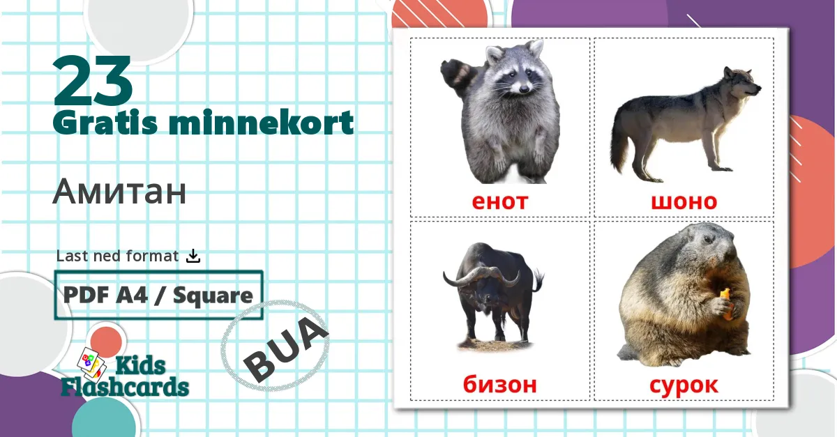 23 Амитан bildekort