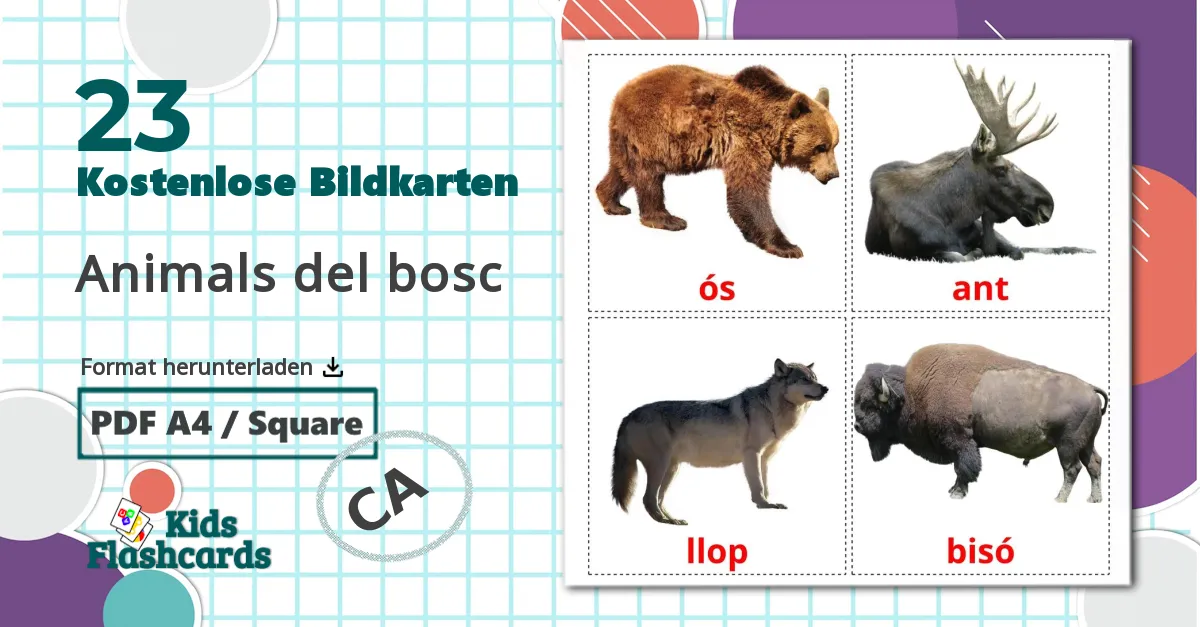 23 Bildkarten für Animals del bosc