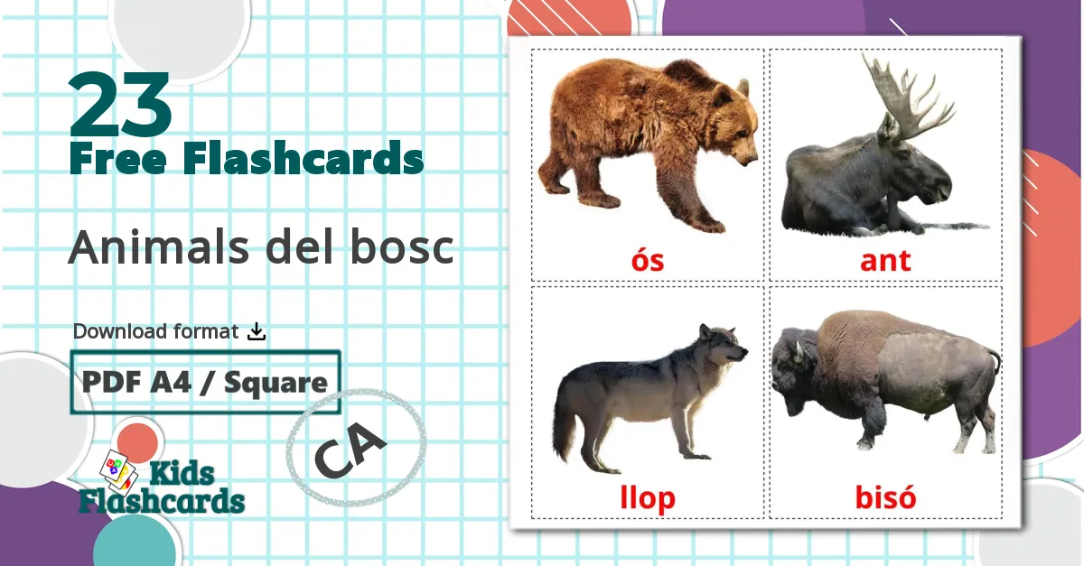 23 Animals del bosc flashcards