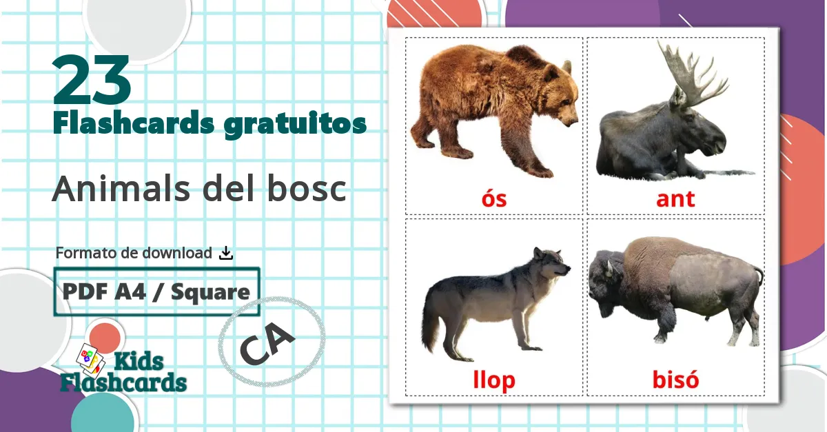 23 Flashcards de Animals del bosc