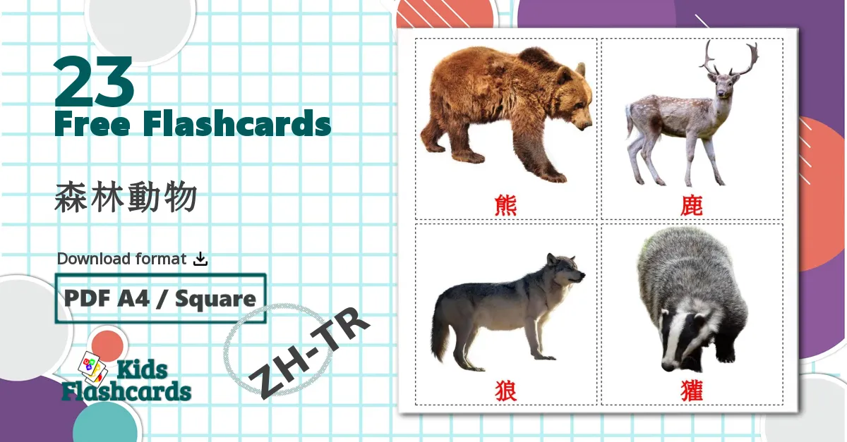 23 森林動物 flashcards