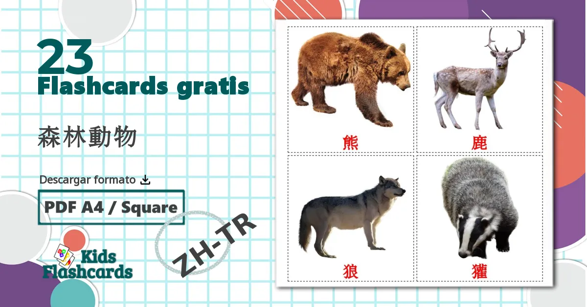 23 tarjetas didacticas de 森林動物